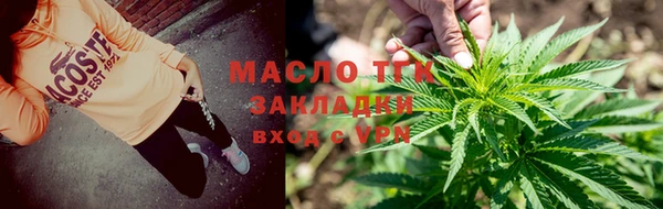 тгк Богданович